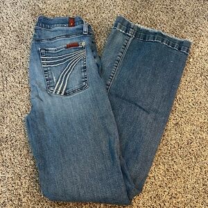 COPY - 7 For All Mankind Dojos